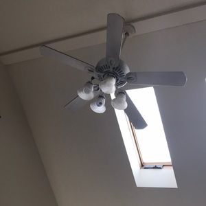 Meet your Posher, Ralph